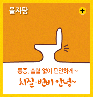 치질 변비